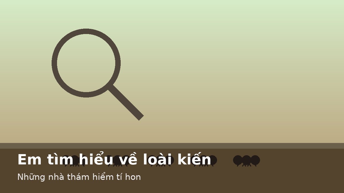 Em tìm hiểu về loài kiến